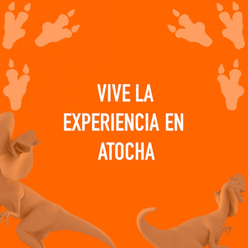 Info Dinosaurios en Atocha Info Dinosaurios en Atocha
